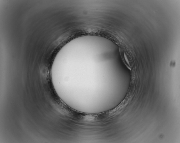 X0000099440176200805301459