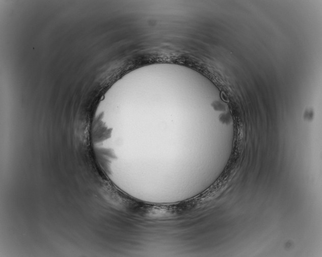 X0000099440177200805301459