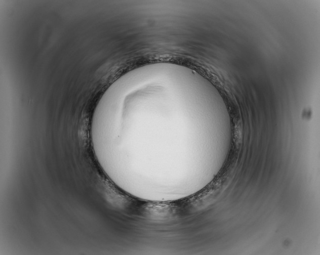 X0000099440181200805301459