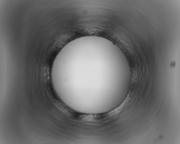 X0000099440182200805301459