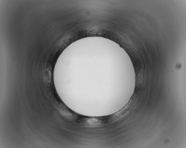 X0000099440183200805301459