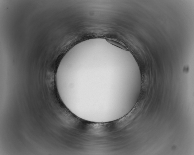 X0000099440184200805301459