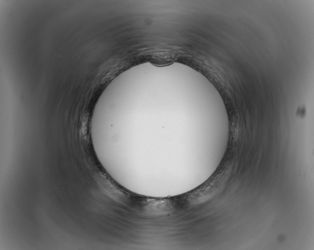 X0000099440185200805301459