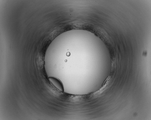 X0000099440186200805301459