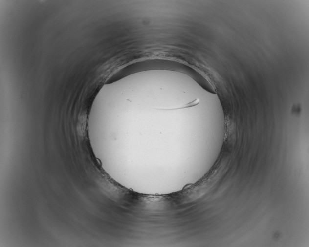 X0000099440189200805301459