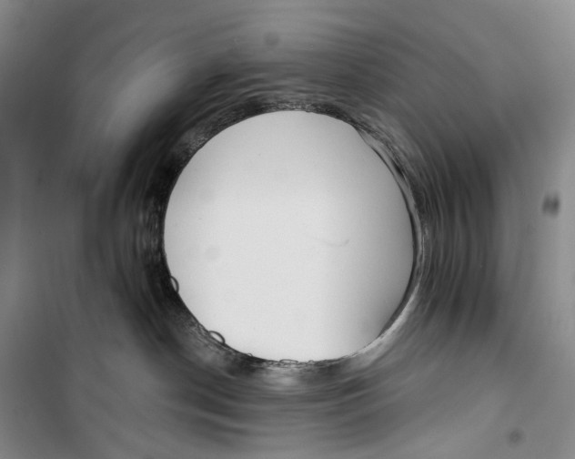 X0000099440190200805301459