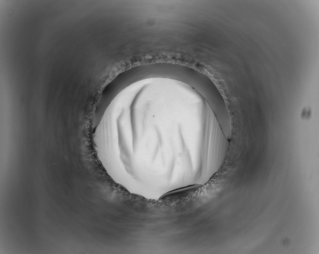 X0000099440192200805301459