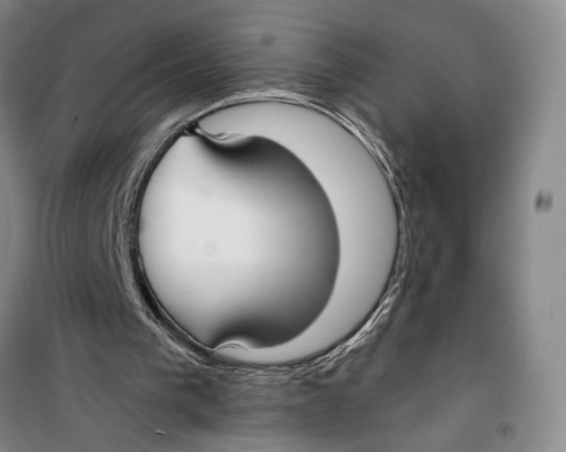 X0000099440193200805301458