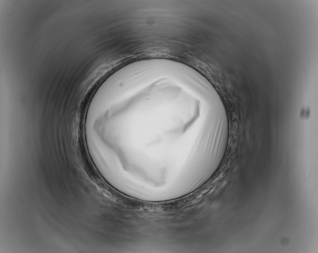 X0000099440194200805301458