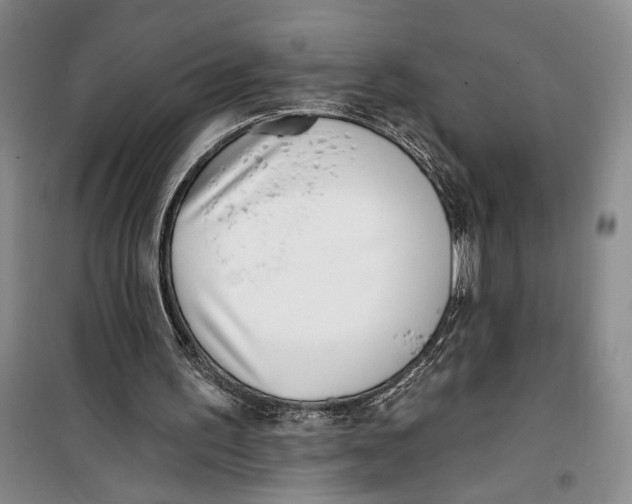 X0000099440195200805301458