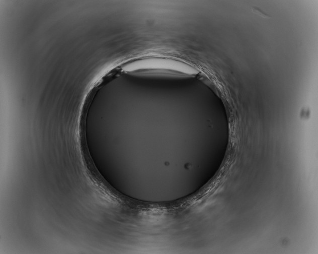 X0000099440196200805301458