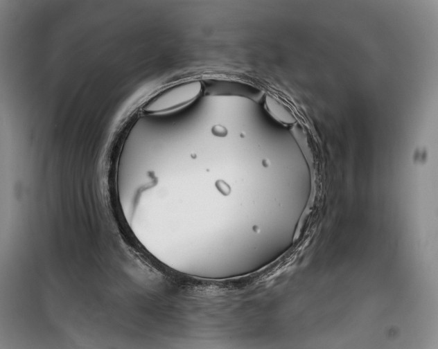 X0000099440197200805301458