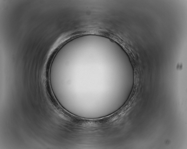 X0000099440198200805301458