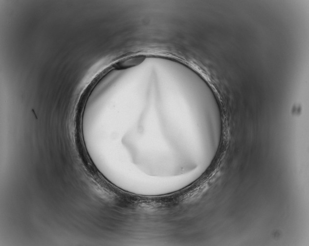 X0000099440199200805301458