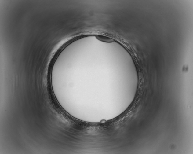 X0000099440200200805301458