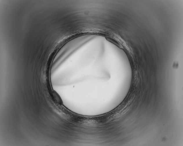 X0000099440203200805301458