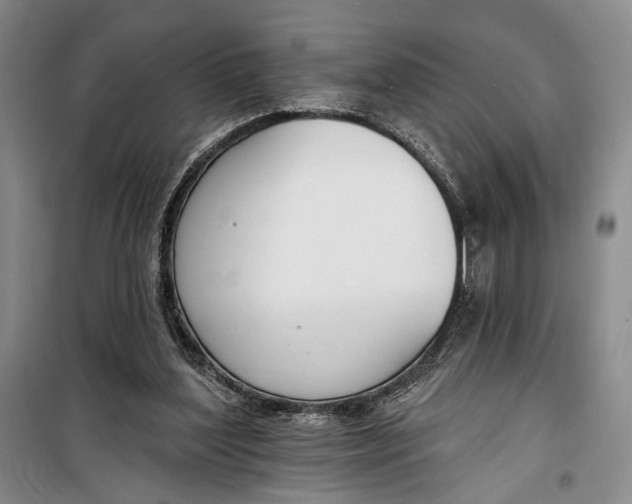 X0000099440204200805301458