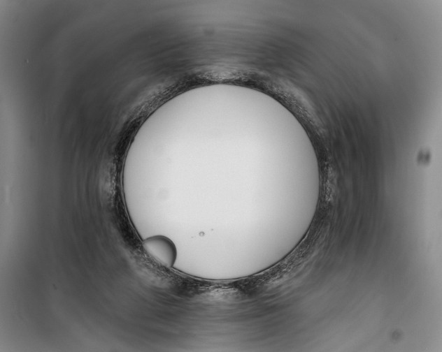 X0000099440210200805301458