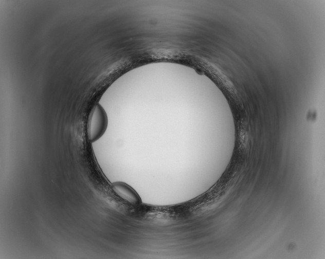 X0000099440211200805301458