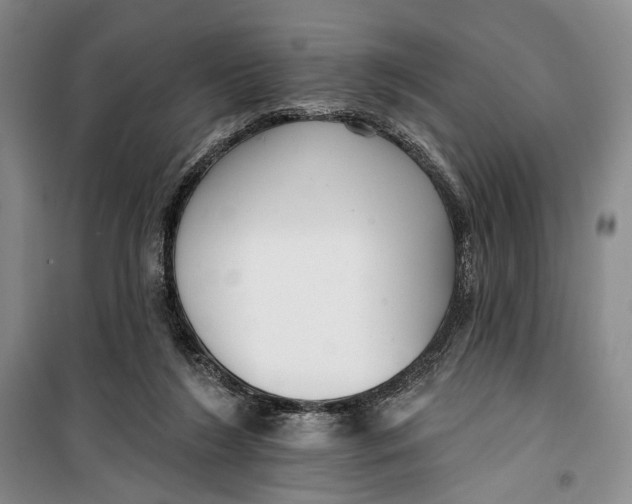 X0000099440212200805301458