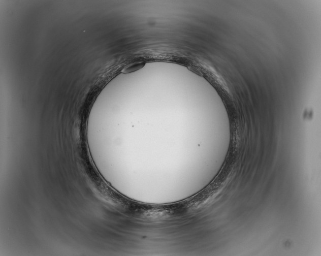 X0000099440213200805301458