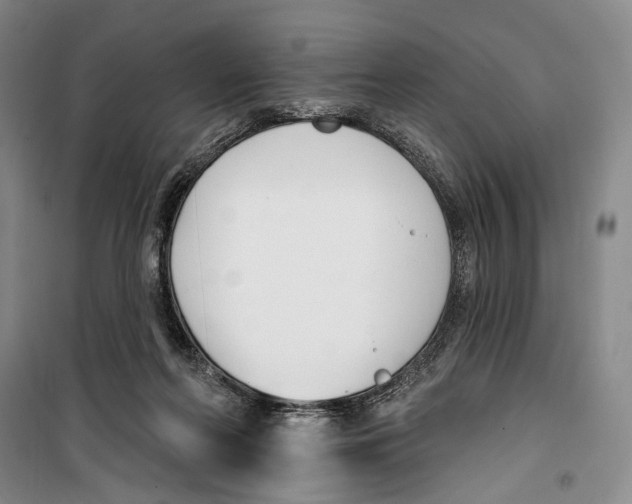 X0000099440214200805301458