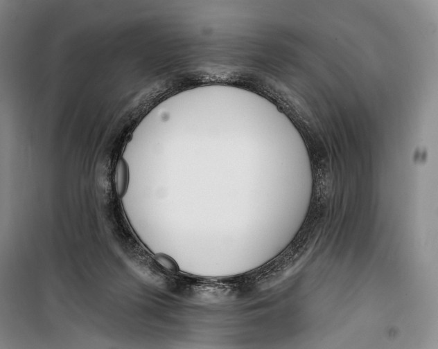 X0000099440215200805301458