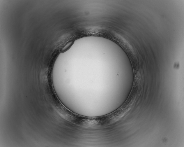 X0000099440217200805301458