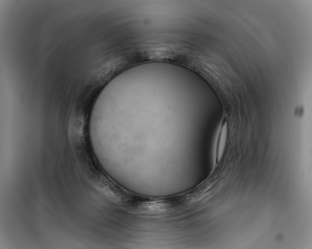 X0000099440219200805301458