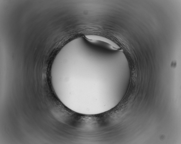 X0000099440221200805301458