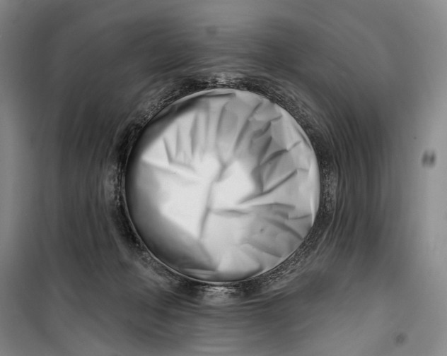 X0000099440222200805301458