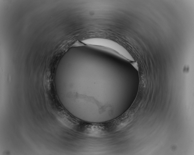 X0000099440223200805301458