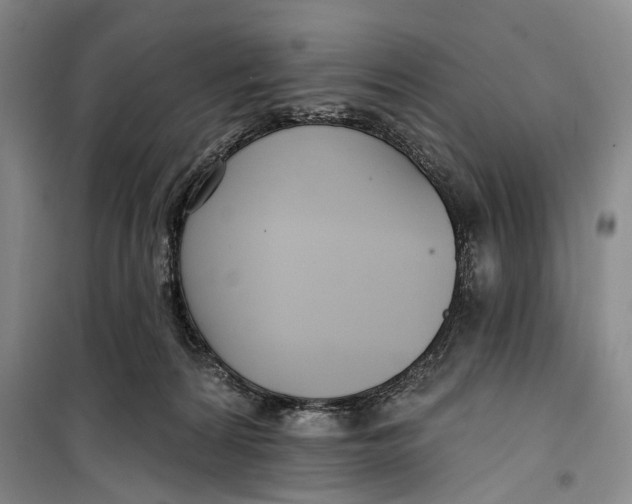 X0000099440224200805301458