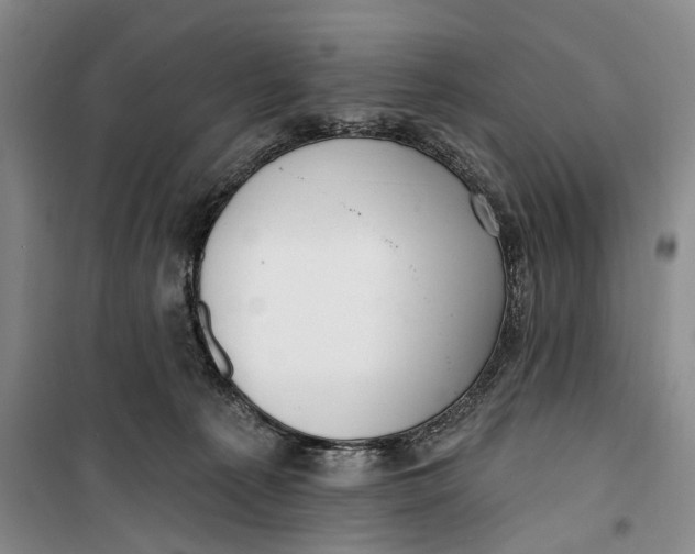 X0000099440225200805301458