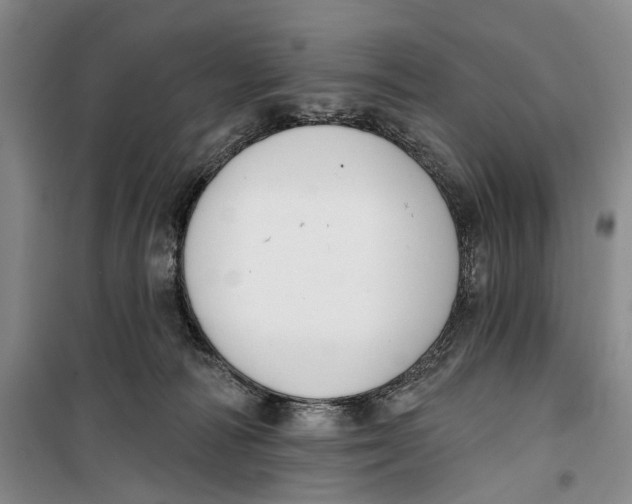 X0000099440226200805301458