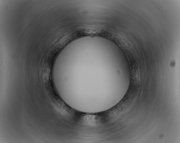 X0000099440227200805301458