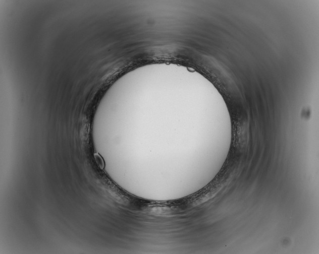 X0000099440228200805301458