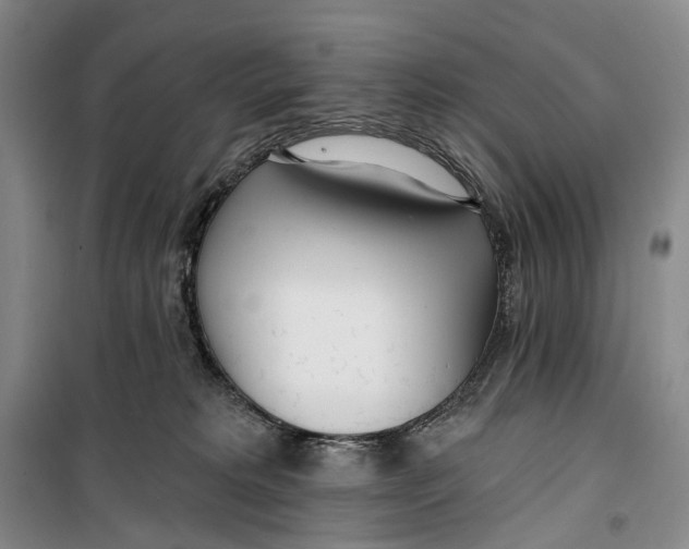 X0000099440229200805301458