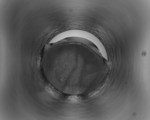 X0000099440231200805301458