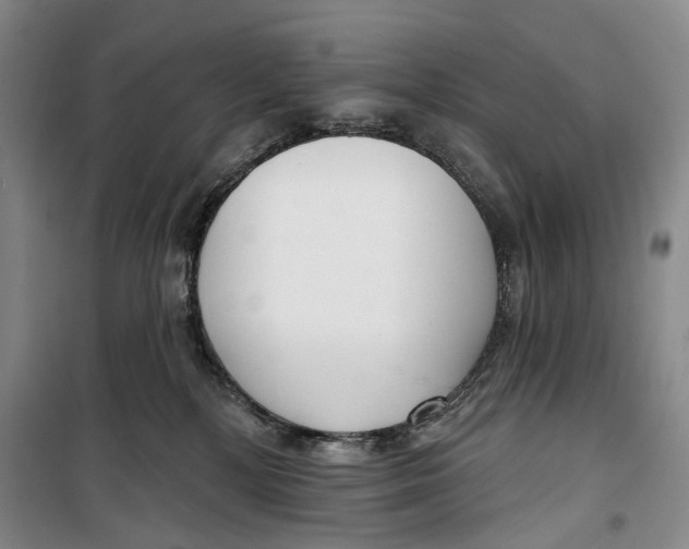 X0000099440232200805301458