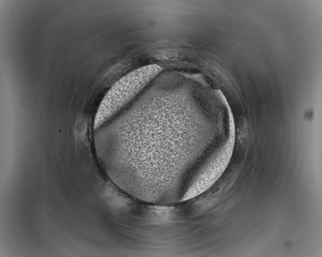 X0000099440233200805301458