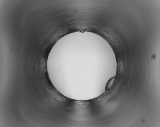 X0000099440234200805301458