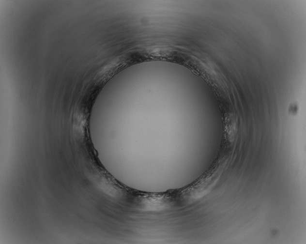 X0000099440235200805301458