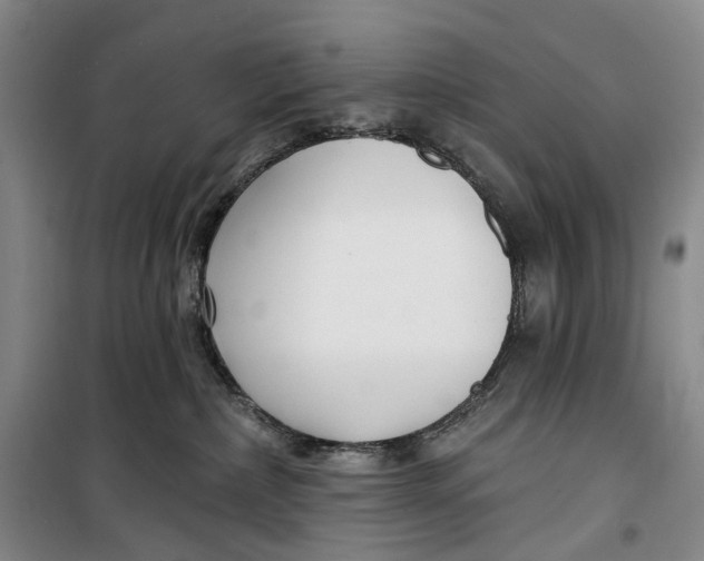 X0000099440236200805301458