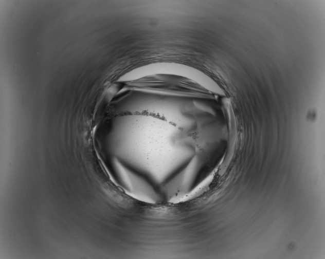 X0000099440237200805301458