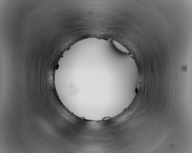 X0000099440238200805301458