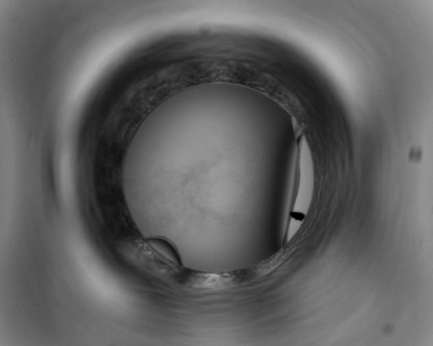 X0000099440239200805301458