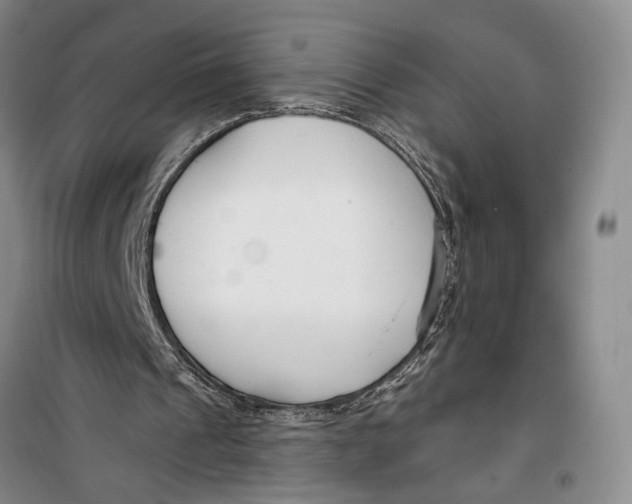 X0000099440241200805301457