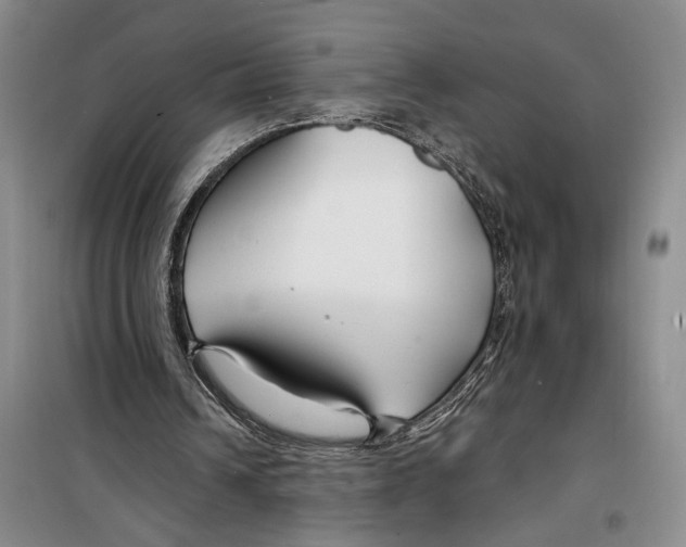 X0000099440242200805301457