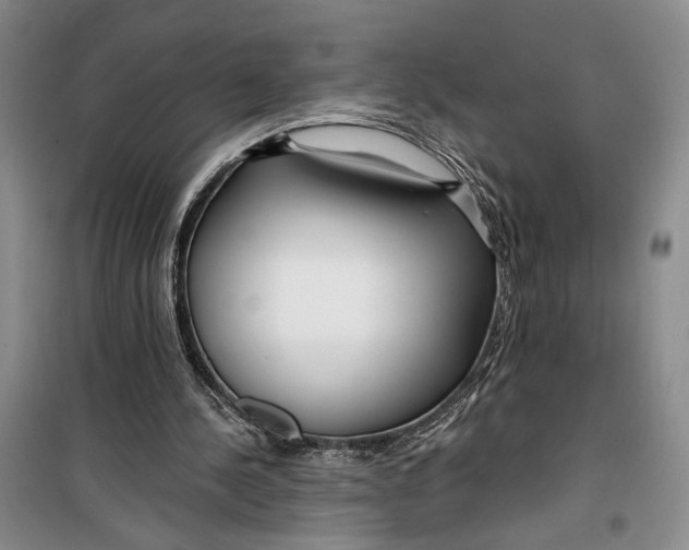 X0000099440244200805301457